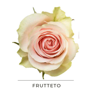 FRUTTETO