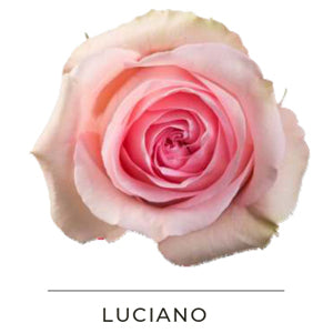 LUCIANO