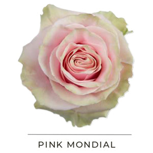 PINK MONDIAL