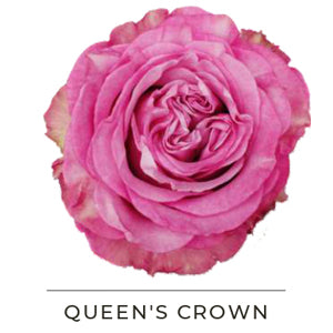 QUEEN'S CROWN