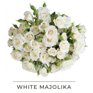 WHITE MAJOLIKA