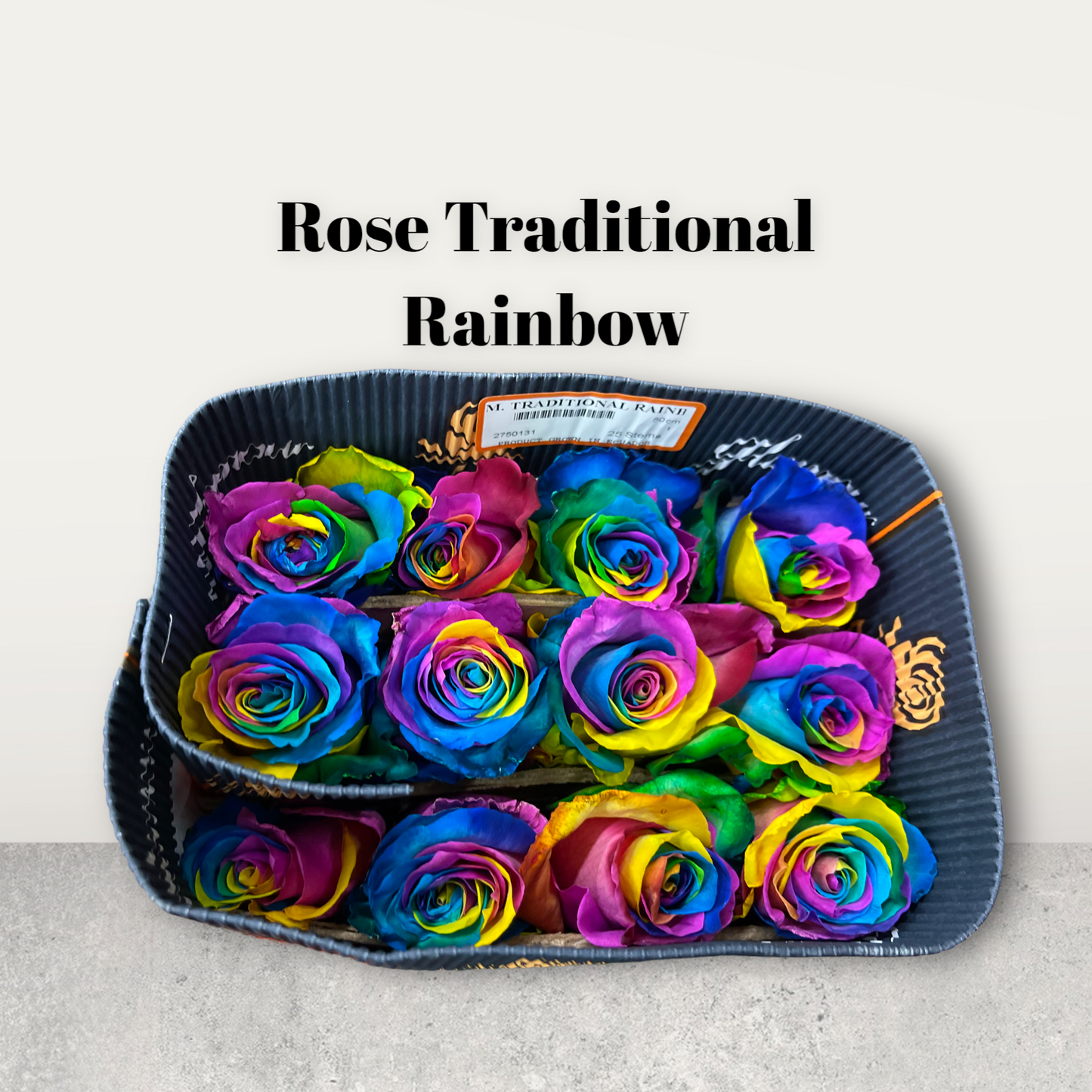 Rose Traditional Rainbow 60cm