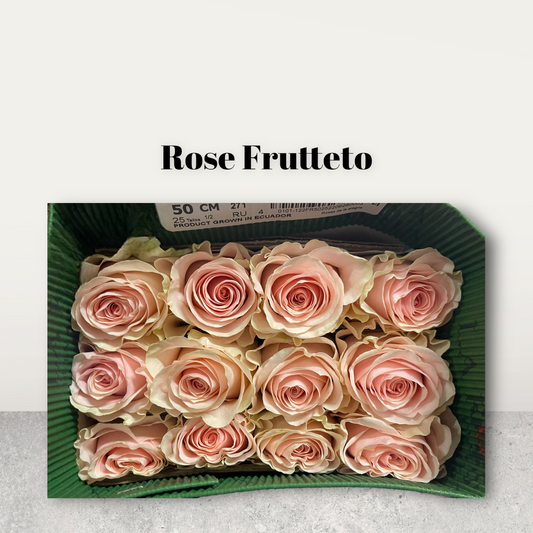 Rose Frutteto