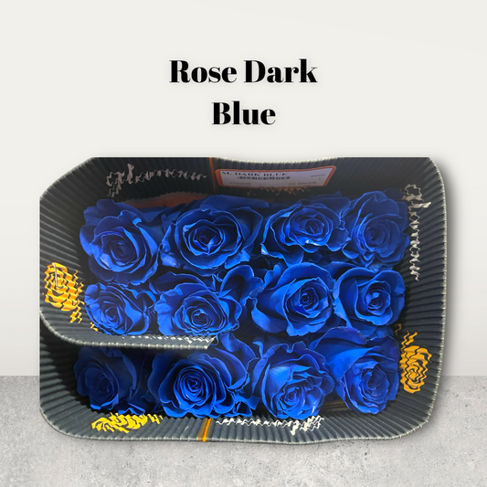 Rose Dark Blue